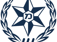 משטרת ישראל